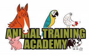Animal Training Academy