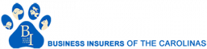 Business Insurers of the Carolinas