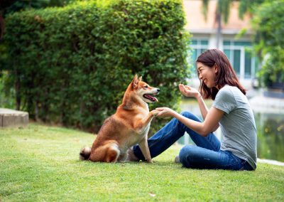 Shared Blog Post – The Proper Use of Food in Dog Training