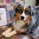 A Path to Your Pet’s Health