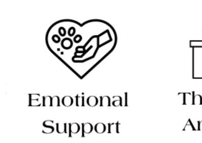 What Are Assistance Animals?