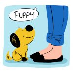 Top Tips to Help Your New Dog or Puppy Settle In