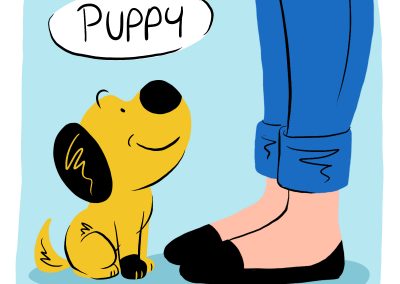 Top Tips to Help Your New Dog or Puppy Settle In