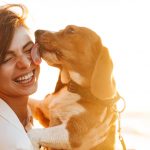 When Not to Greet or Approach a Dog!