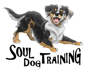 Soul Dog Training Business Logo