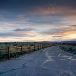 Pets & Automobiles – Part 1: Safety