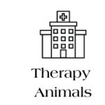 Therapy Work for Pet Dogs