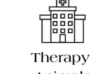 Therapy Work for Pet Dogs