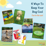Six Ways to Keep Your Dog Cool During the Summer Months