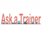 Ask a Trainer: Help for a Dog Who Growls at Strangers