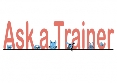 Ask A Trainer: Tension in a Multidog Household