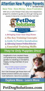 Pet Dog Solutions