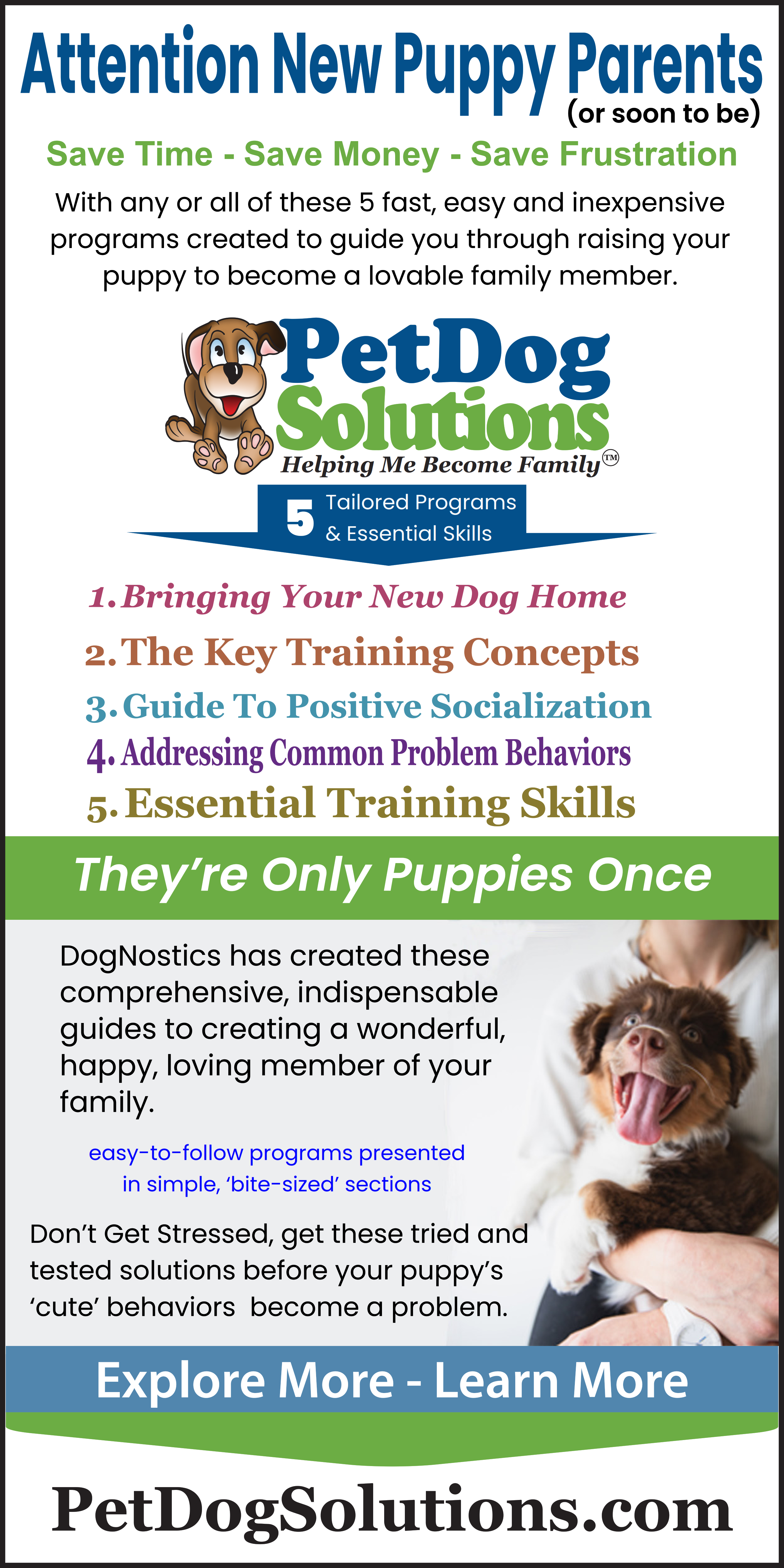 Pet Dog Solutions