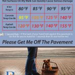 Summer Is Here – Protect Your Pets!