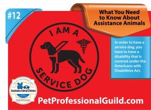How To Select a Service Dog or Assistance Dog Prospect