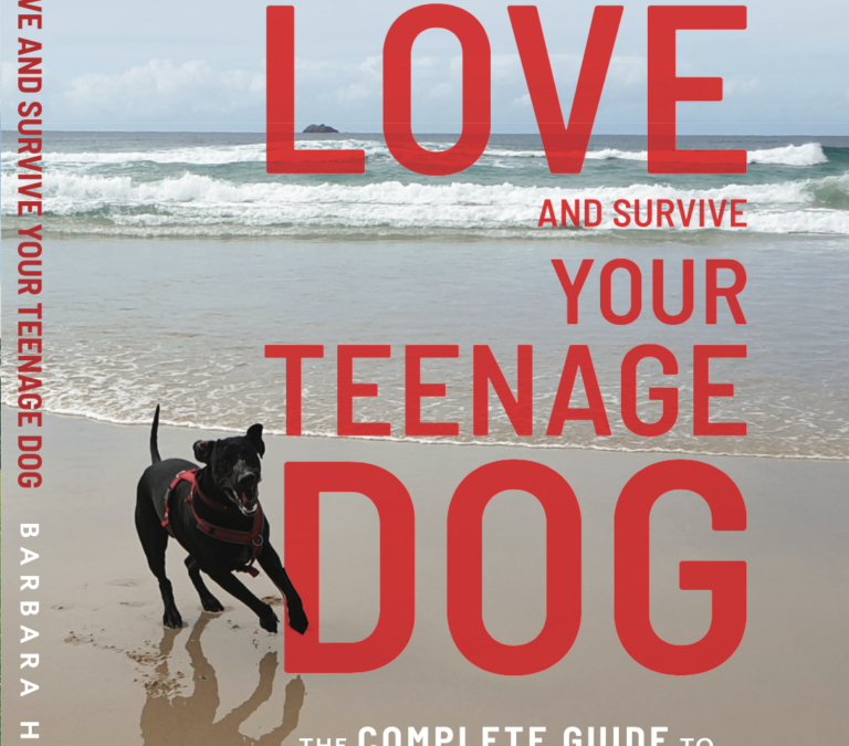 Shared Blog Post: How to Love and Survive Your Teenage Dog – and Keep Your Sanity!