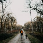 Enjoy Loose Leash Walking Your Dog – Part 2:  Your Leash Walking Tools for Success