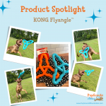 Product Review: KONG Flyangle ™