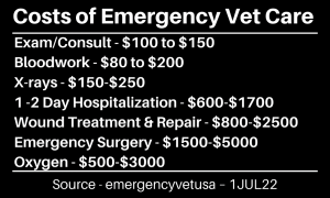 Itemized list of some emergency vet care costs