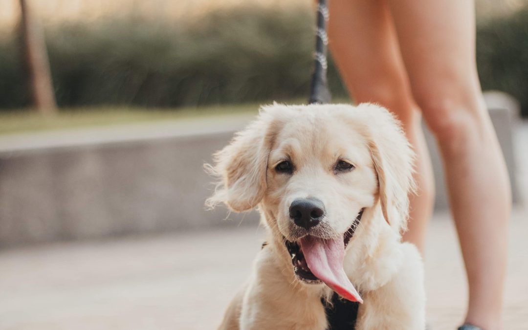 Would You Invite Your Best Friend to a Restaurant with Cuisine They Don’t Like?