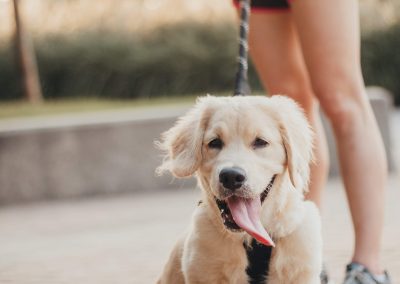 Would You Invite Your Best Friend to a Restaurant with Cuisine They Don’t Like?