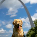 I Saved a Dog’s Life Today!