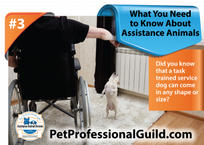 Ways Assistance Animals Help