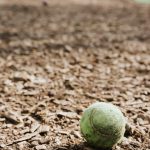 Dog Parks, a Closer Look!