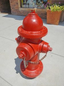 Fire Safety for Pets