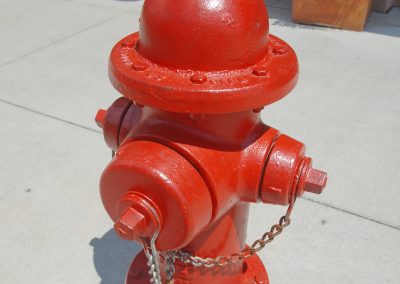 Fire Safety for Pets