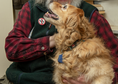 Eye Drops for Dogs, the Premack Principle, and Stationing on the Stairs