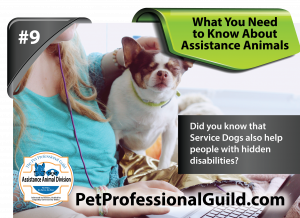 When Services Refuse Access to Assistance Dog Teams
