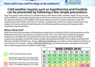 Winter Weather Tips for Pets