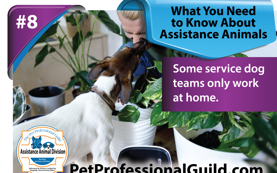 Perceptions of Assistance and Service Dogs by the General Public