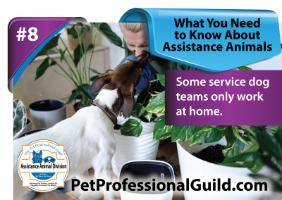 Perceptions of Assistance and Service Dogs by the General Public