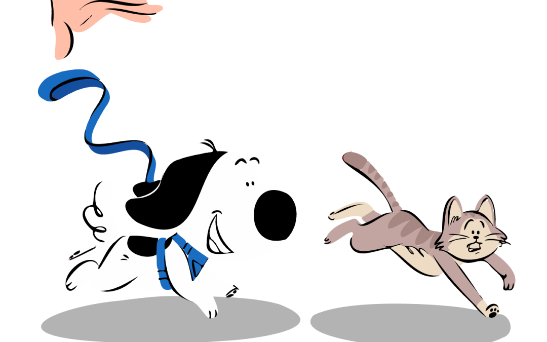 Starting Off on the Right Paw with New Pet Introductions