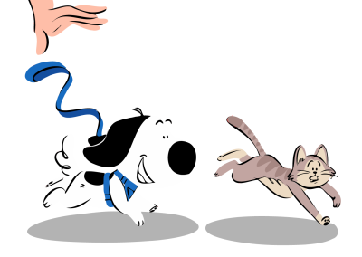 Starting Off on the Right Paw with New Pet Introductions