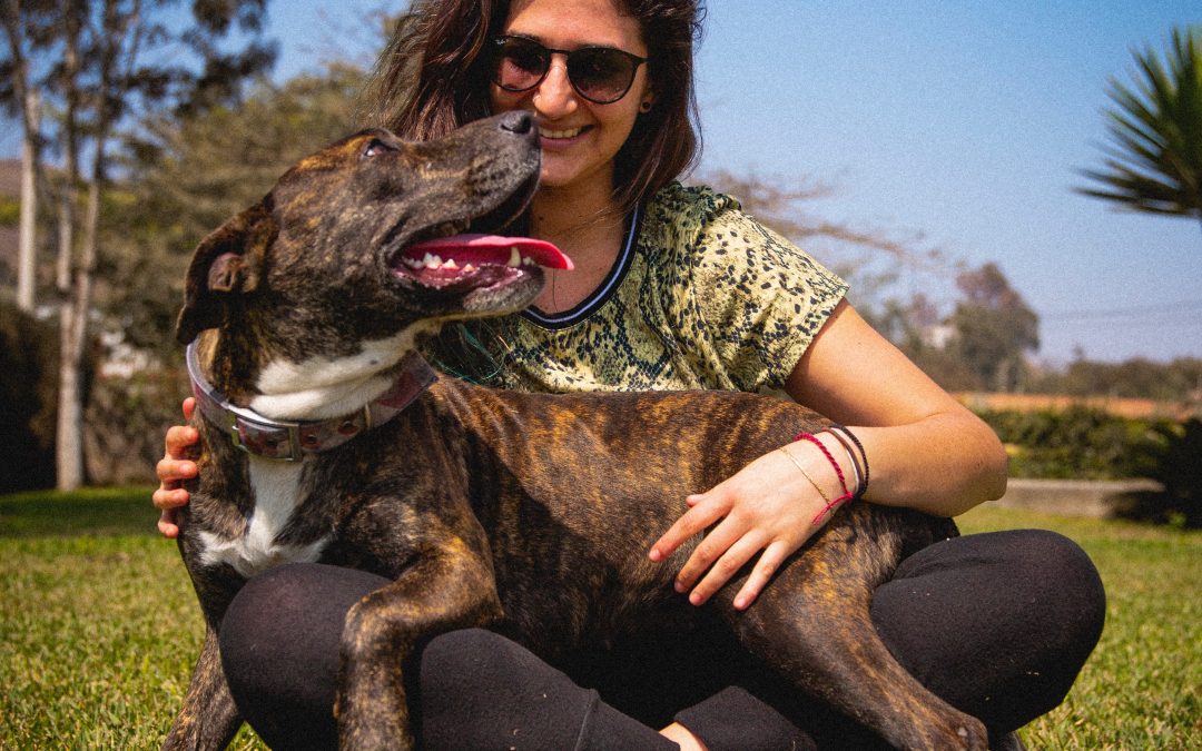 The Importance of Transparency in Sheltering and Rescue