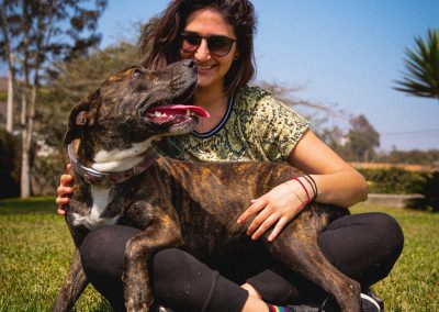 The Importance of Transparency in Sheltering and Rescue