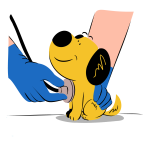 How To Prepare Your Pet for Smoother Vet Visits