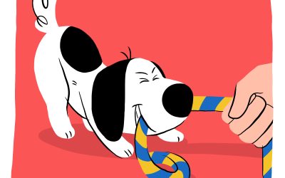 Why is Play So Important for Your Relationship with Your Dog?