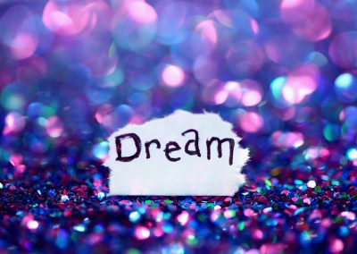 Why Sleep Is So Important for Equids