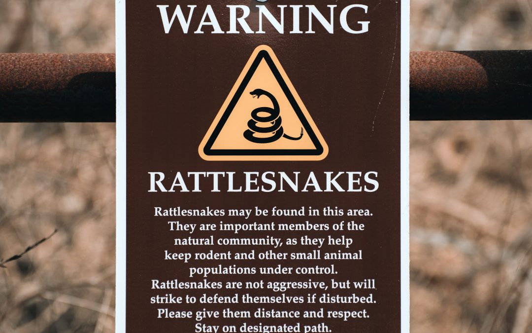 Shock-Free Snake Safety for Dogs