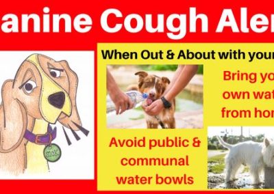 What Is Canine Kennel Cough?