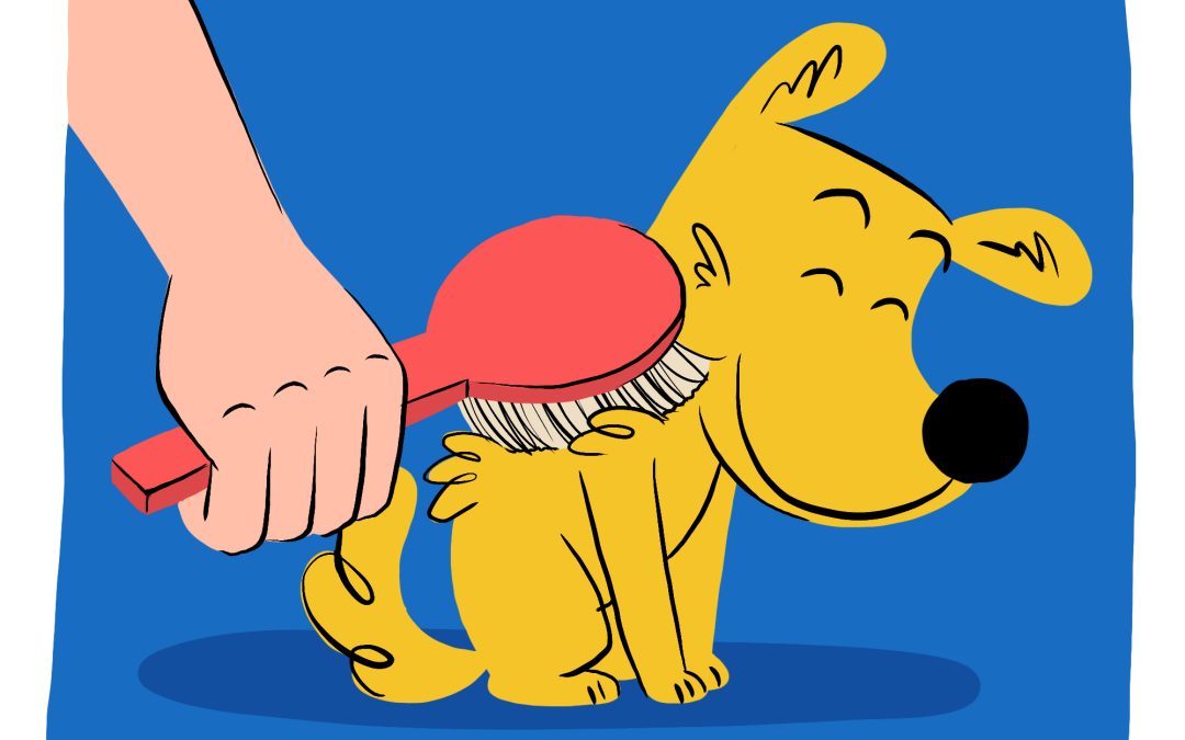 Help Your Pet Enjoy (not just tolerate) Brushing and Nail Trims!