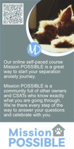 Malena DeMartini – Corporate