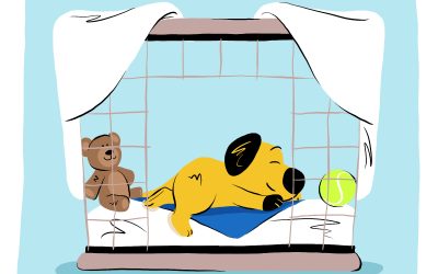 How to Make Your Pet’s Space Cozy