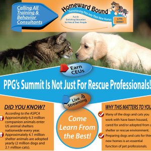 Becoming a Cat Person