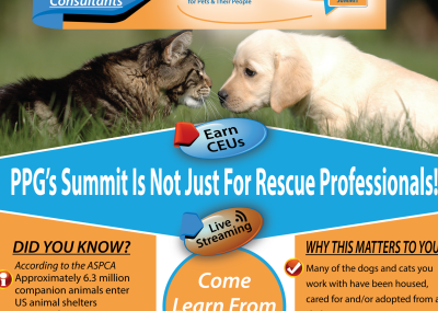 Becoming a Cat Person