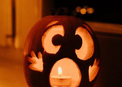 Halloween Can Be Stressful for Dogs